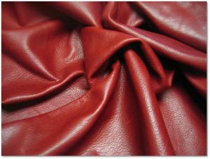 Aniline leather
